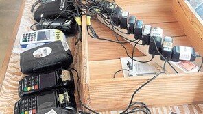 [고양이 눈]따로 또 같이