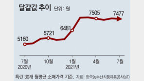 정부 “농협 마트서 수입달걀 판매 추진”… 양계 농가 반발