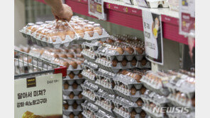 계란 한판에 7000원…정부 “농가 지원 강화해 6000원대로 낮출 것”