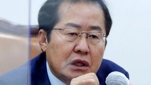 홍준표, 尹측 돌고래, 멸치 비유에 “실언 연발…자중하라”