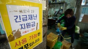 경기 ‘전 도민 재난지원금’ 이재명 결정만 남았다