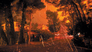 기후변화 지구의 분노… 세계 곳곳 역대 최악 산불 ‘악몽의 여름’ 