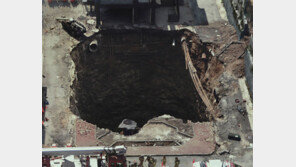 땅으로 꺼진 내집, 솟아난 생존 본능