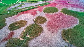 예상 깬 ‘갯벌, 유네스코 등재’… 21개 위원국 ‘속도전 설득’ 빛났다