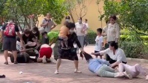 아이 안고있는 여성 발로 차고…中동물원서 패싸움 일어나