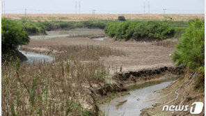 빨리 끝난 장마, 적은 강수량에도…정부 “가뭄 없을것”