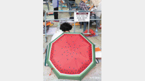 [고양이 눈]잘 익은 수박