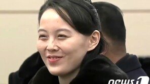 北김여정 ‘한미훈련 비난’ 담화 냈지만…통신선은 정상 가동