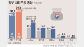 올 상반기 세금, 49조 더 걷혔다… 경기회복-부동산 폭등 영향
