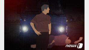 길가던 여성 차로 치어 숨지게 하고 달아난 60대 검거