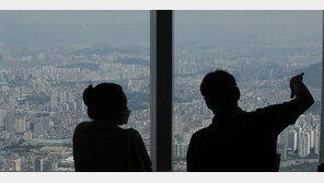 아파트값 치솟자…상반기 서울 빌라 4채중 1채, 30대 이하가 샀다