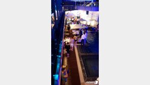 ‘적발 때 신원확보 했더라면’…강릉 풀파티 참가자 처분 못하는 이유