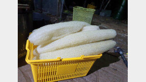 천연수세미를 선봉으로 한 ‘2021 제로웨이스트 운동’ 주목