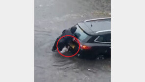 주인 따라 선행… 침수차량 밀어준 英 강아지 화제