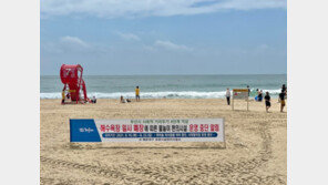 해운대 상인들 “가게마다 줄 서던 풍경은 옛일…올여름 장사 끝났다”