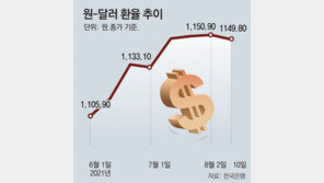 델타변이-美테이퍼링 우려에… 환율 변동폭 13개월만에 최대 