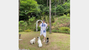 ‘쌍둥이 예비맘’ 성유리, 이 비율 실화? 반려견들과 여유로운 일상 