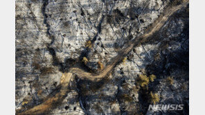 그리스 화재 8일째…올림픽 발상지 인근 산불도 부활