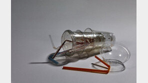 “코로나에 무조건 1회용컵? 그럼 식당 식기도 다 바꿔야”