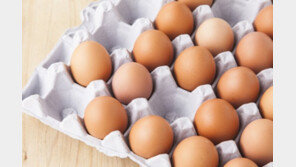 질병청 “집단 식중독 원인은 달걀…만지고 손 꼭 씻어야”