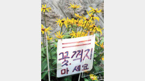 [고양이 눈]내 자리는 여기랍니다!