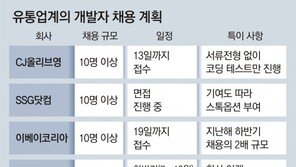 온라인 기술력 밀리면 아웃… 유통가로 번진 개발자 유치전 