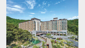 여름 가기 전 원시림에서 ‘숲캉스’ 어때요