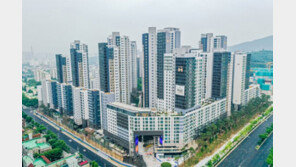 “당첨땐 시세 반값에 내집”… 집값 고공행진이 낳은 ‘줍줍 열풍’