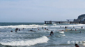 4단계 폐장인데…서핑 천국된 송정해수욕장, 200여명 ‘북적’