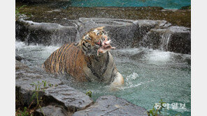 “열대야가 사라졌다” 아침저녁 선선…폭염 한풀 꺾인 이유는?