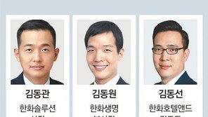 에이치솔루션, 한화에너지에 흡수합병… “한화家 3세 승계작업 발판 마련”