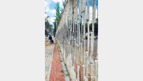 일상 속 예술의 즐거움… 동대문구 공공미술 프로젝트