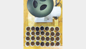 [고양이 눈]커피의 탄생