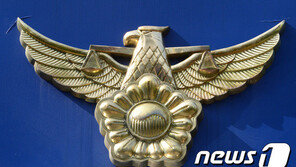 모텔 로비 욕하며 뛰어다닌 女 체포…신체에 주사자국