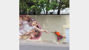 노홍철, 집 담에 본인 얼굴 담은 ‘대형 벽화’ 그렸다…자기애 폭발