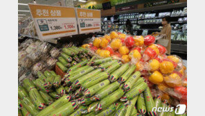 올라도 너무 오른다 역대급 물가…서민들 “이젠 지친다”