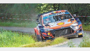 현대차, WRC 벨기에 랠리 우승-준우승 차지