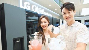 ‘원형 얼음’ 냉장고 판매량 쑥쑥