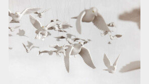 송강호 숨던 ‘그 테이블’ 앞에서… 자연-사물과 어깨동무하다