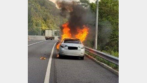 “주행중 타는 냄새가”… 고속도로서 전기차 불나 
