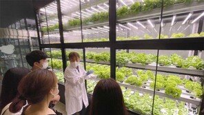 거제해맞이역 유휴공간에 마련된 ‘레일팜’