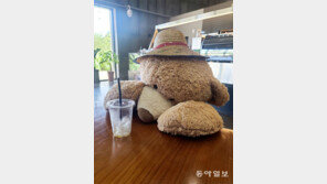 [고양이 눈]한낮의 카페