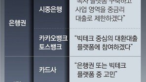 이해 엇갈린 ‘대출 갈아타기 플랫폼’… 10월 출범 물건너가나 