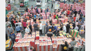 물가 비상 속 분주한 과일경매장