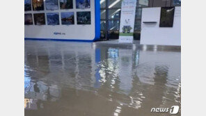 빗물이 성인 남성 허리까지…‘물바다’ 된 강원, 곳곳 침수 피해