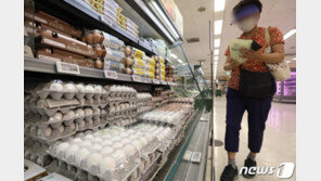 “金계란 원인 잡는다”…합동점검반, 계란 유통 현장 방문