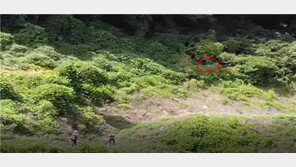 야산서 길 잃은 조난객 찾아낸 ‘드론’…하루에 2명 연달아 구조