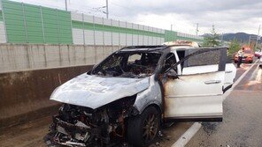 남해고속도로서 쏘렌토 불나