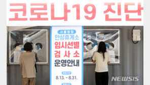 WHO “한국·일본 등 서태평양서 주간 확산세 가장 심해”