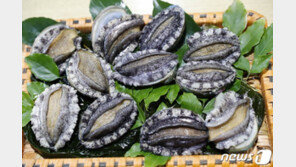 “임시방편 조정, 현실과 맞지 않아”…전복 생산-유통업계 김영란법 개정 촉구